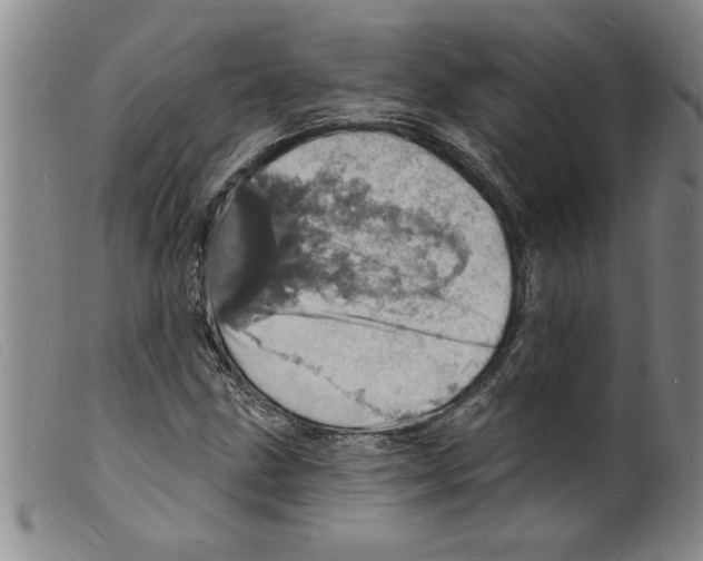 X0000098201211200805221533