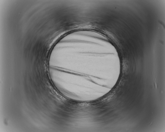 X0000098201212200805221533
