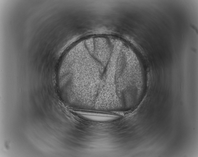 X0000098201213200805221533