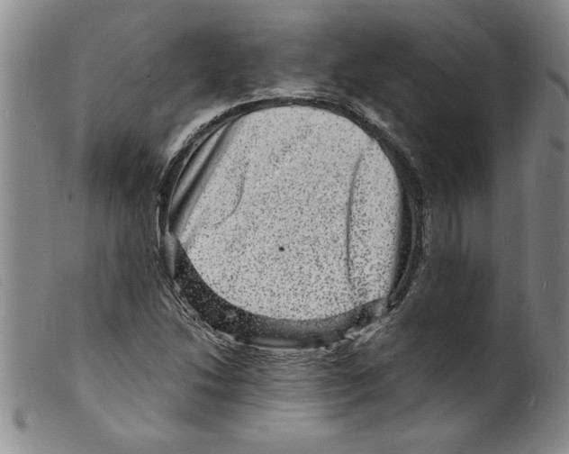 X0000098201214200805221533