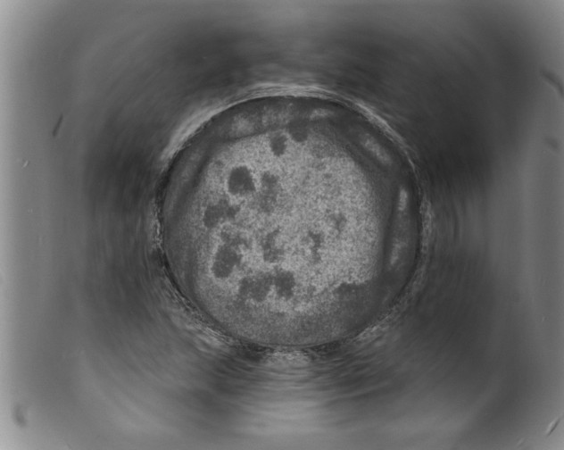 X0000098201215200805221533