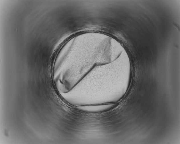 X0000098201216200805221533