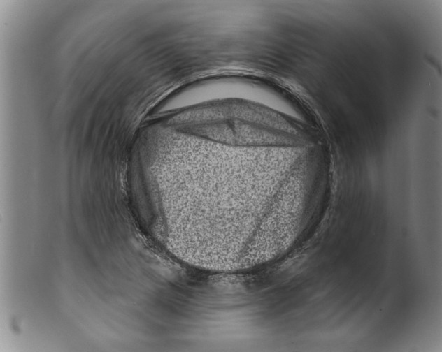 X0000098201217200805221533