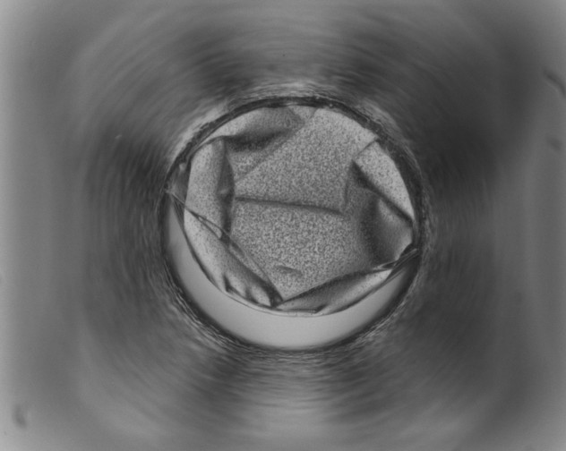 X0000098201218200805221533