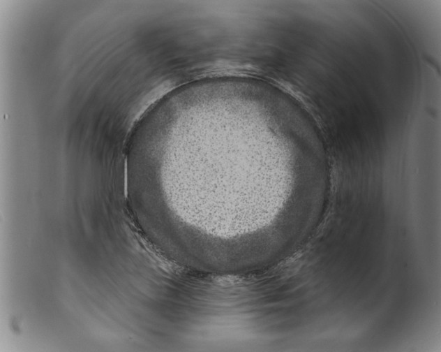 X0000098201219200805221533
