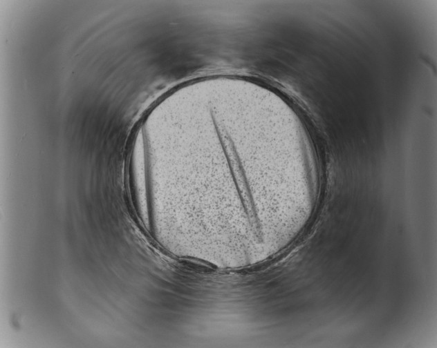 X0000098201220200805221533