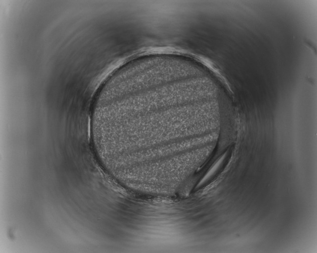 X0000098201221200805221533