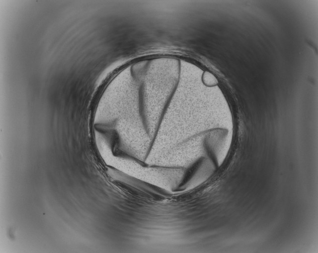 X0000098201222200805221533
