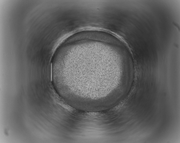 X0000098201223200805221533