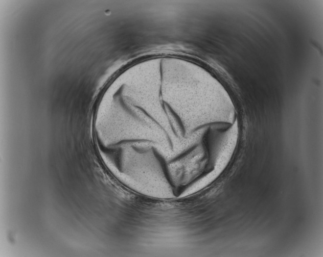 X0000098201224200805221533
