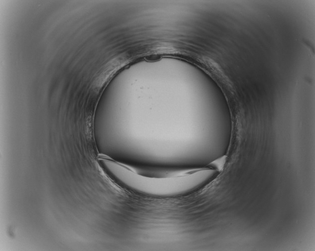 X0000098201225200805221533