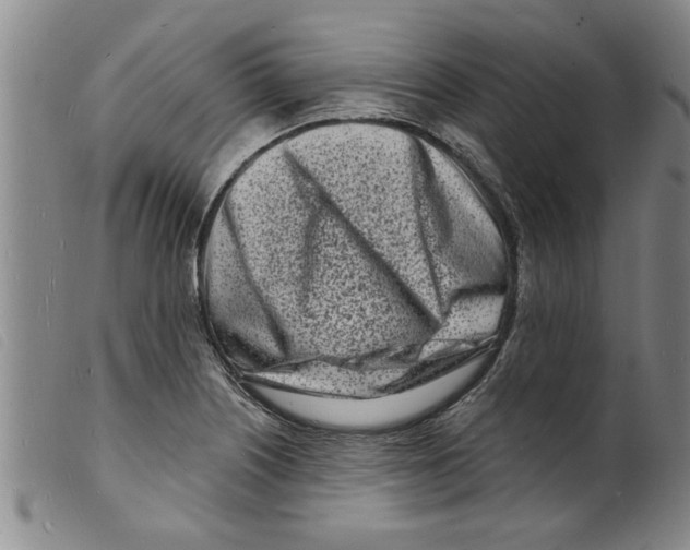 X0000098201226200805221534