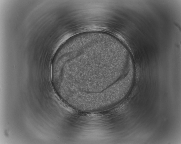 X0000098201227200805221534