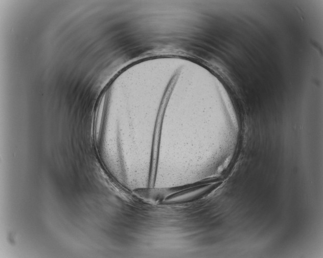 X0000098201228200805221534