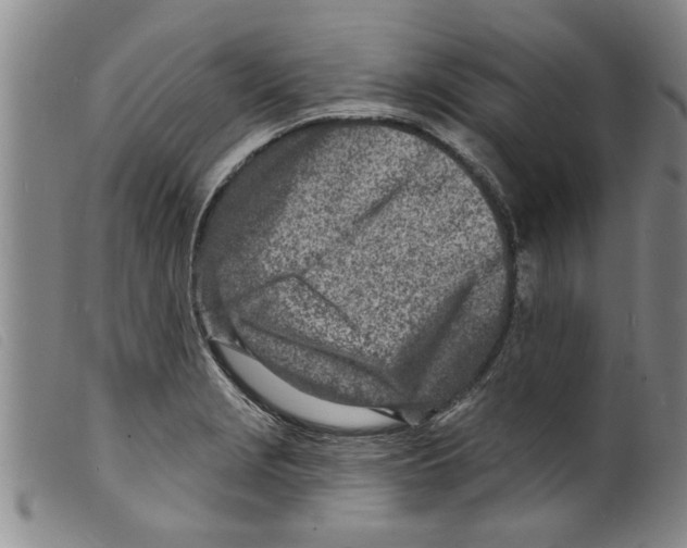 X0000098201229200805221534