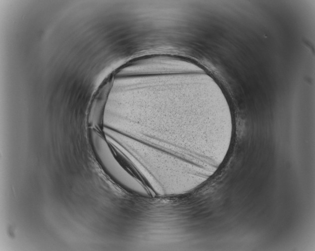 X0000098201230200805221534
