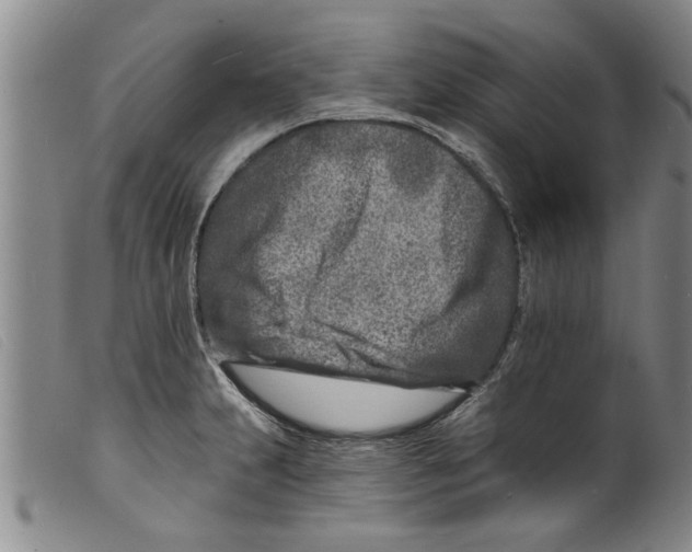 X0000098201231200805221534