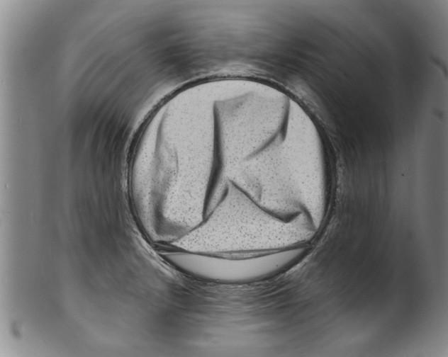 X0000098201232200805221534