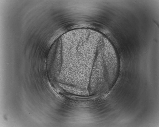 X0000098201233200805221534