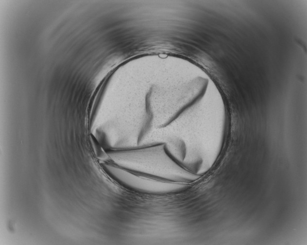 X0000098201234200805221534