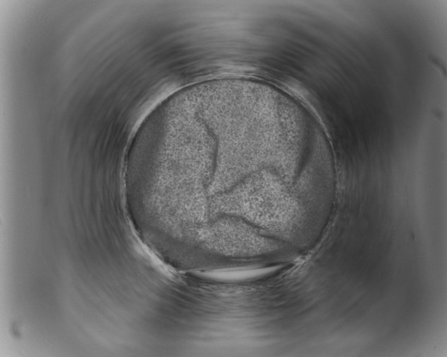 X0000098201235200805221534