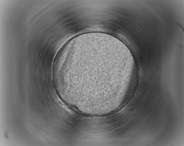 X0000098201236200805221534