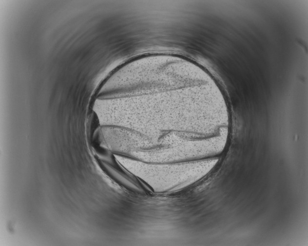 X0000098201237200805221534