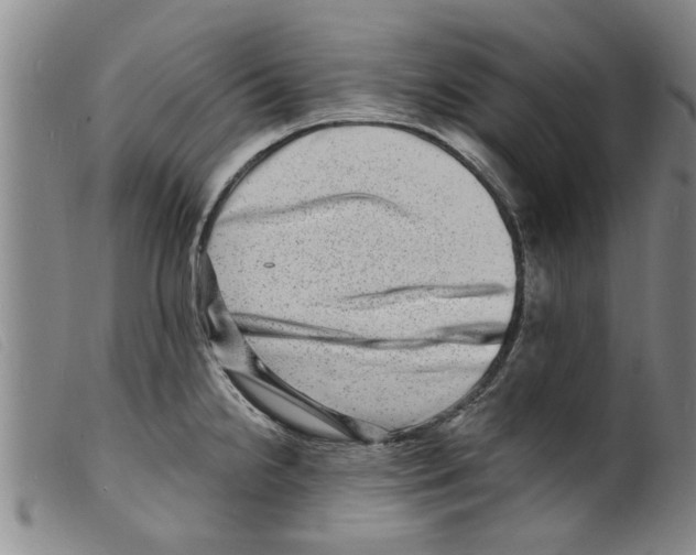 X0000098201238200805221534