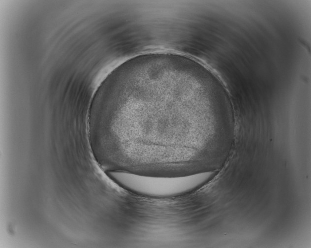 X0000098201239200805221534