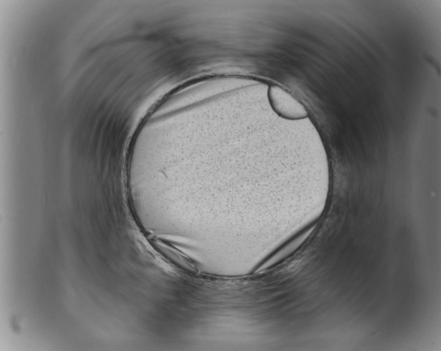 X0000098201240200805221534
