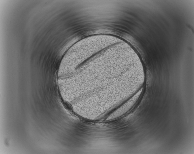 X0000098201241200805221534
