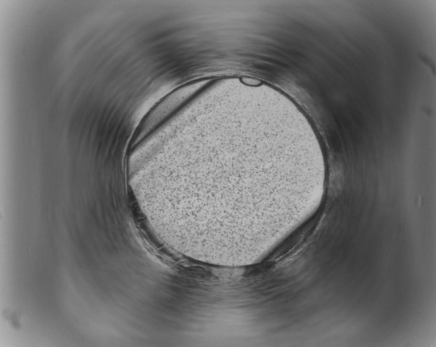 X0000098201242200805221534