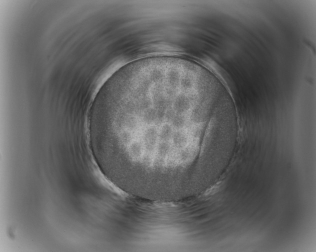 X0000098201243200805221534