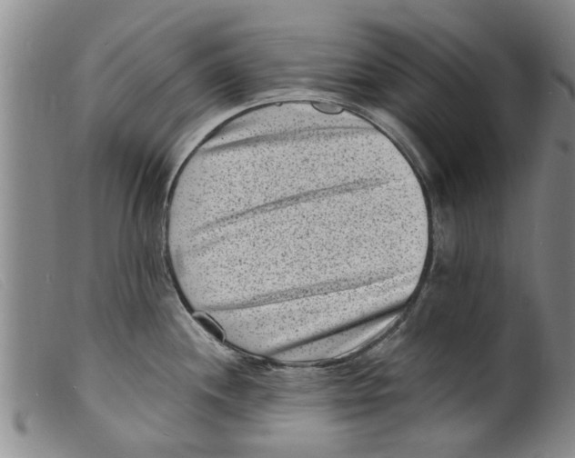 X0000098201244200805221534