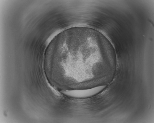 X0000098201245200805221534