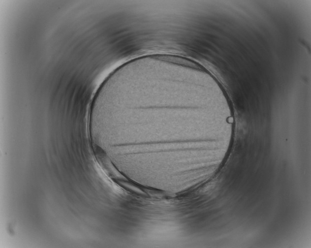 X0000098201246200805221534