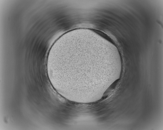 X0000098201248200805221534