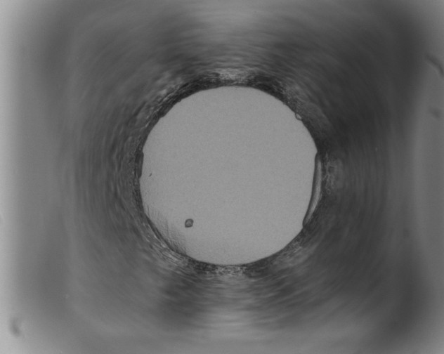 X0000098201249200805221533