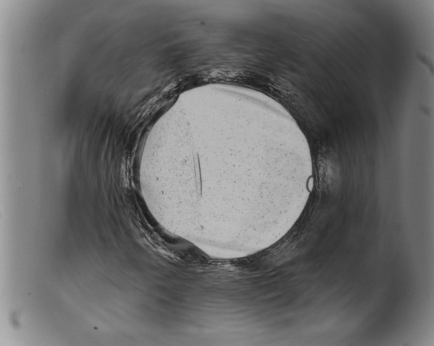 X0000098201250200805221533