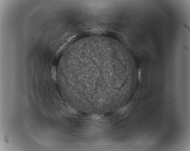 X0000098201251200805221533