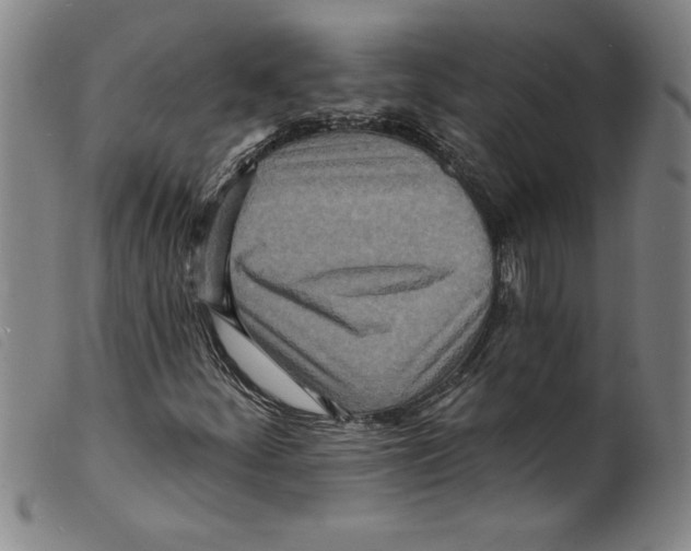 X0000098201252200805221533