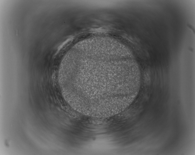 X0000098201254200805221533