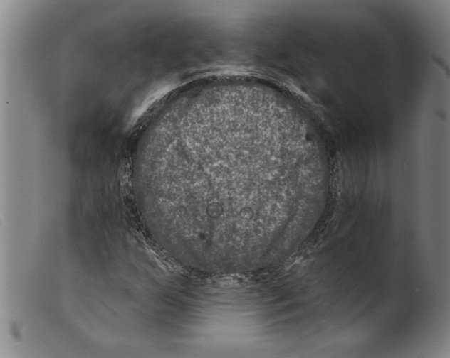 X0000098201255200805221533