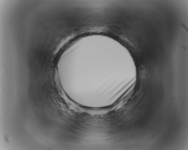 X0000098201256200805221533