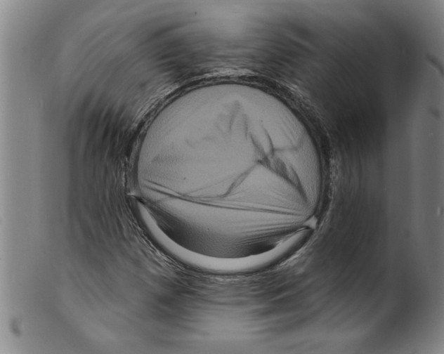 X0000098201257200805221533