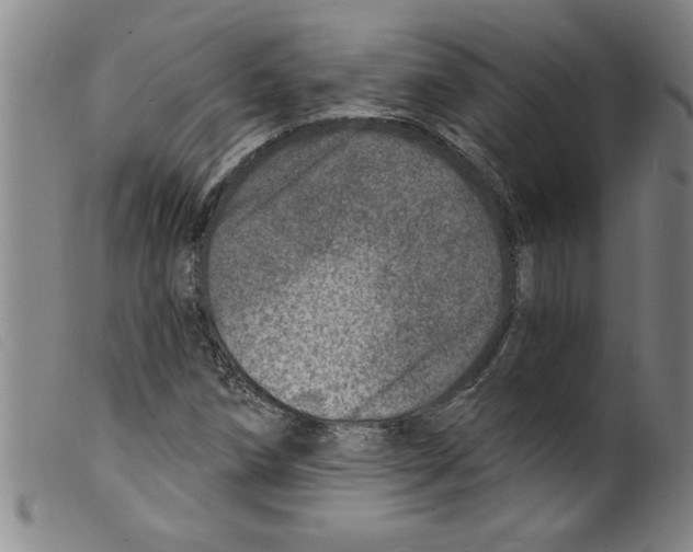 X0000098201258200805221533