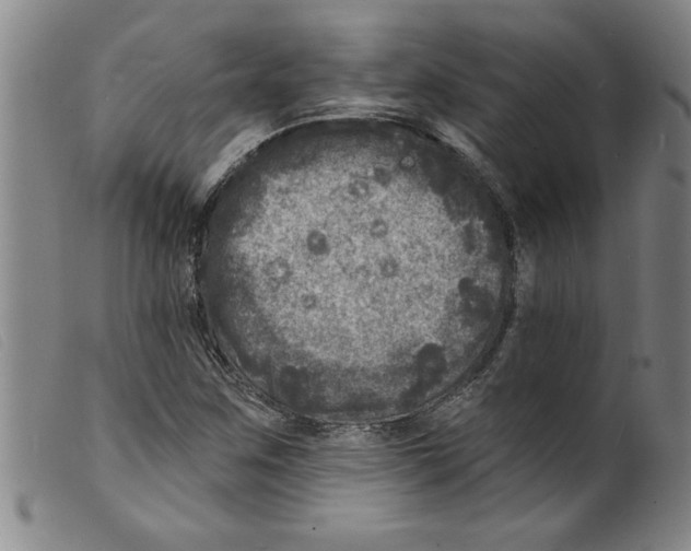 X0000098201259200805221533