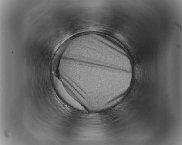 X0000098201260200805221533