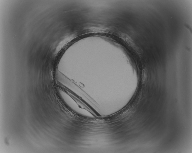 X0000098201261200805221533