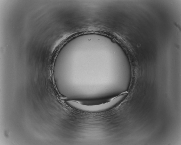 X0000098201262200805221533